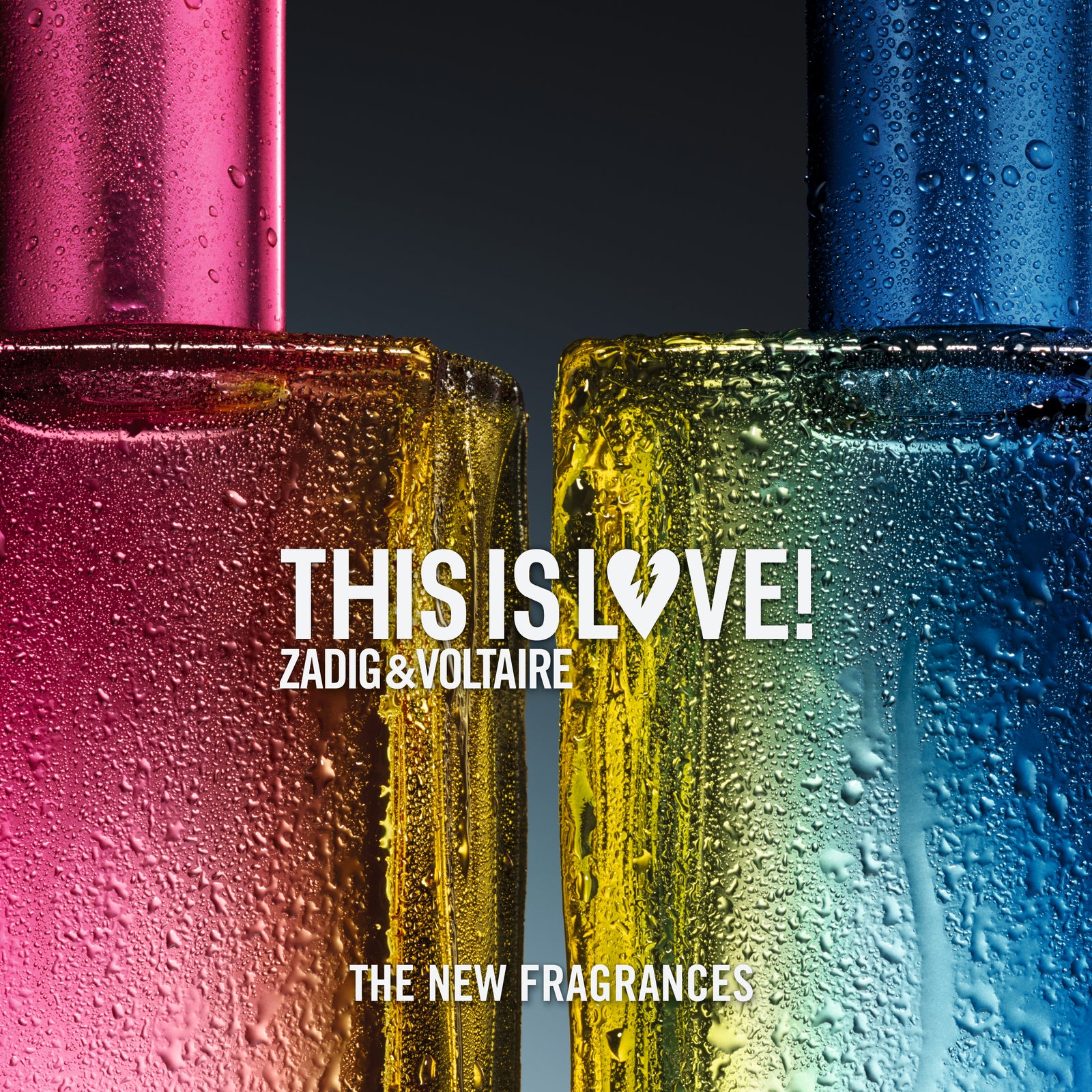 This is Love! Pour Lui