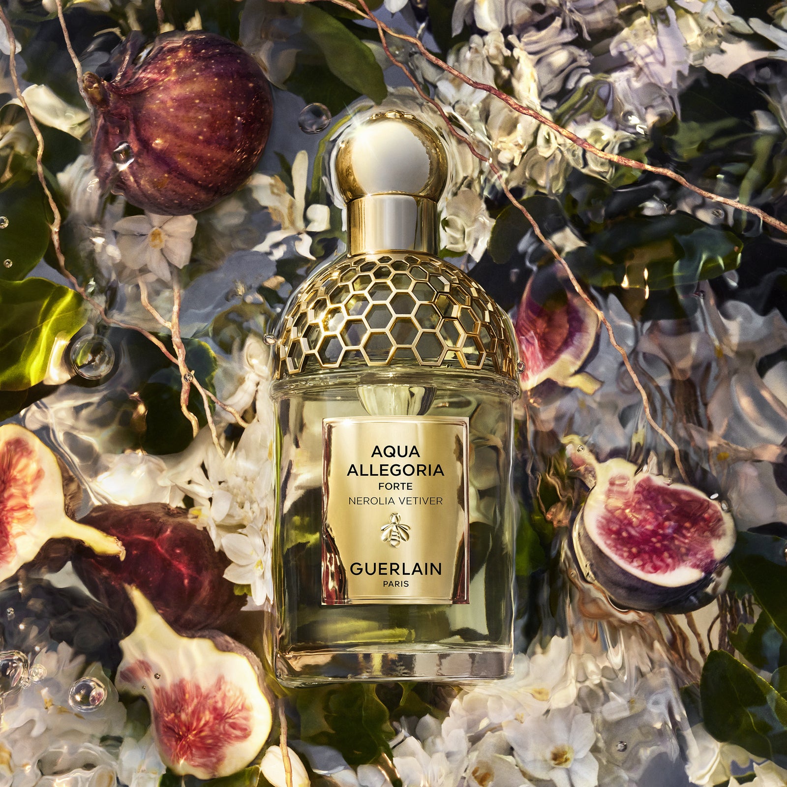 Aqua Allegoria Forte Nerolia Vetiver