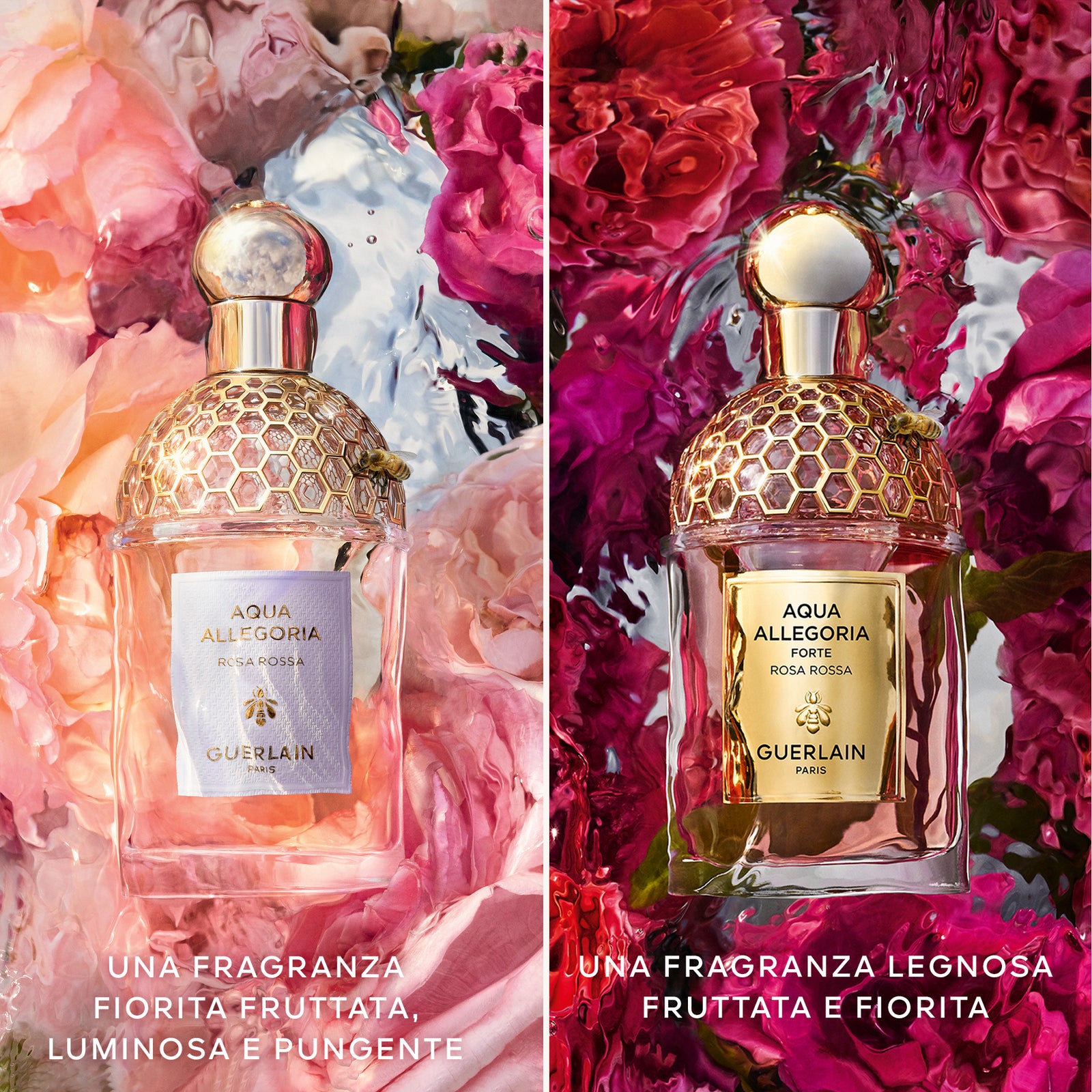 Aqua Allegoria Forte Rosa Rossa