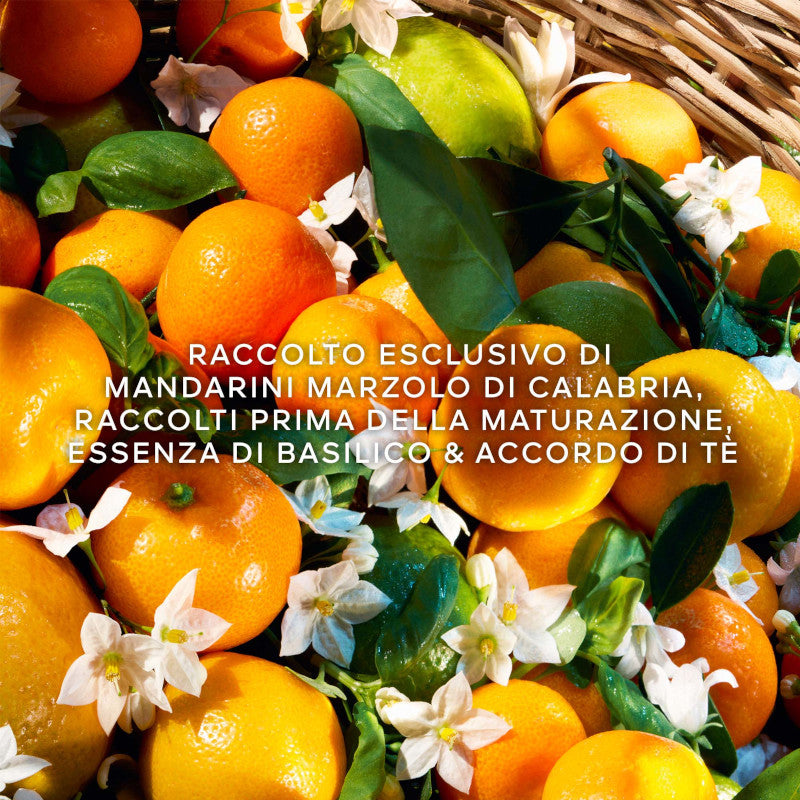 Aqua Allegoria Harvest Mandarine Basilic