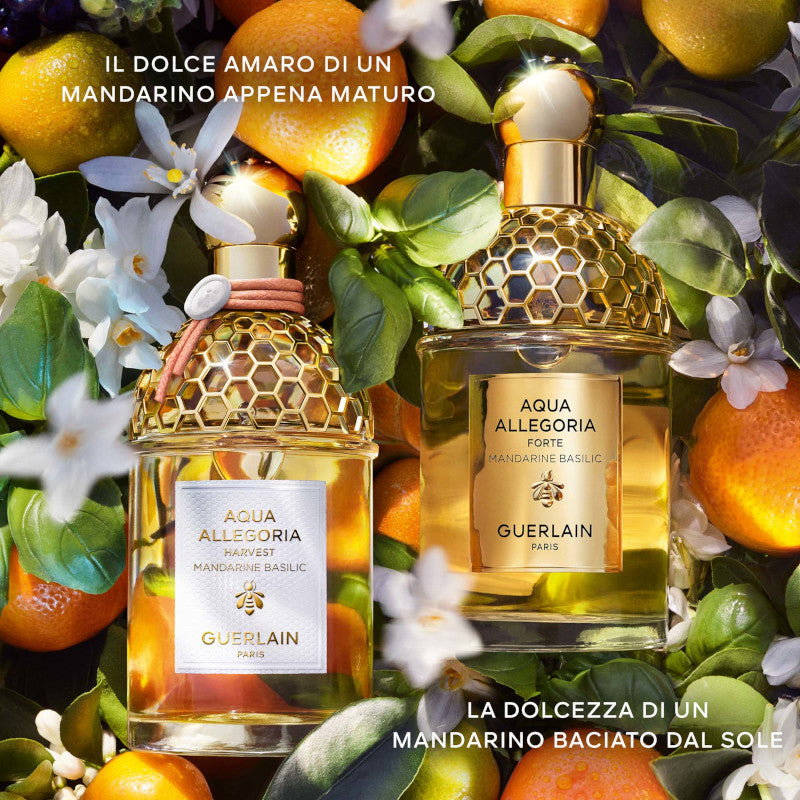 Aqua Allegoria Harvest Mandarine Basilic