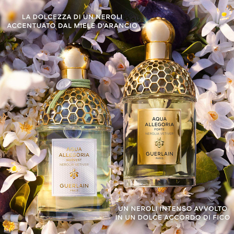 Aqua Allegoria Harvest Rosa Rossa