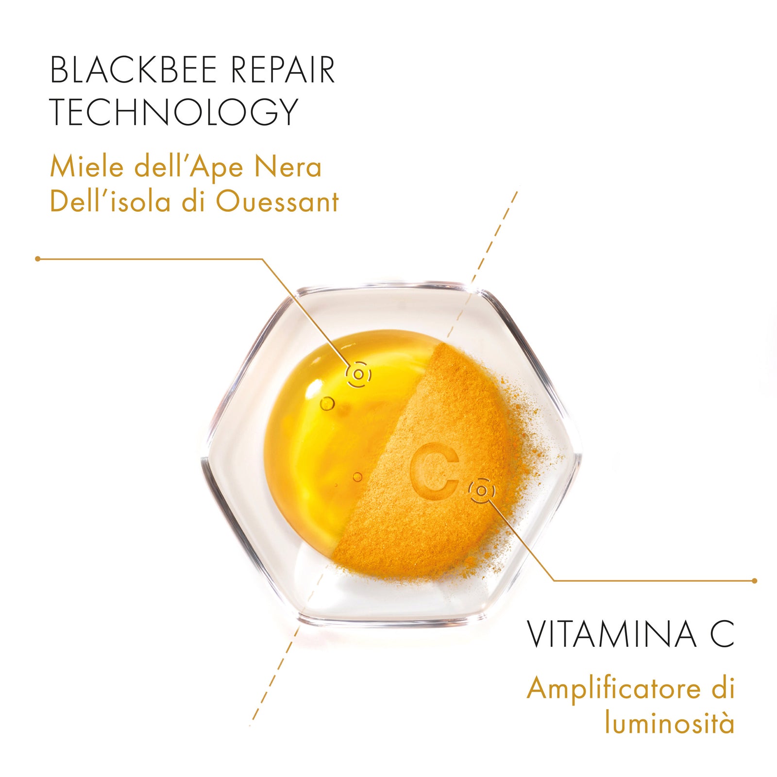 Abeille Royale Creme Jour Rich Day
