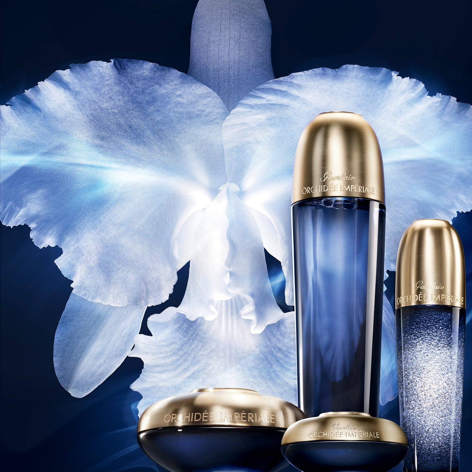 Orchidée Impériale La Creme 5 Generation