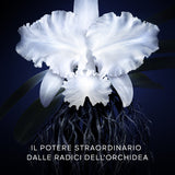 Orchidée Impériale La Creme 5 Generation - Ricarica