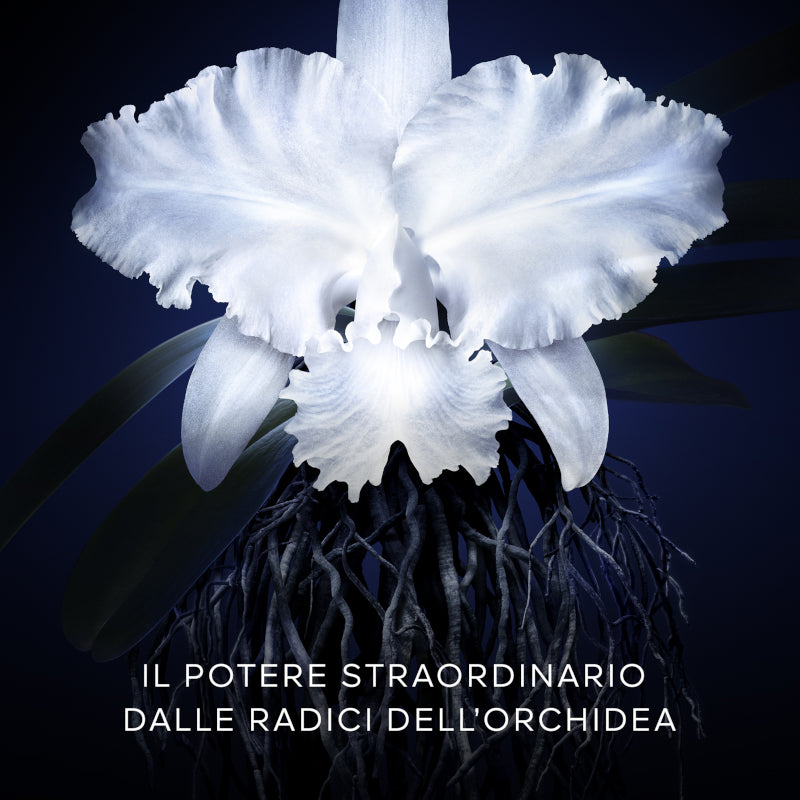 Orchidée Impériale La Creme 5 Generation - Ricarica