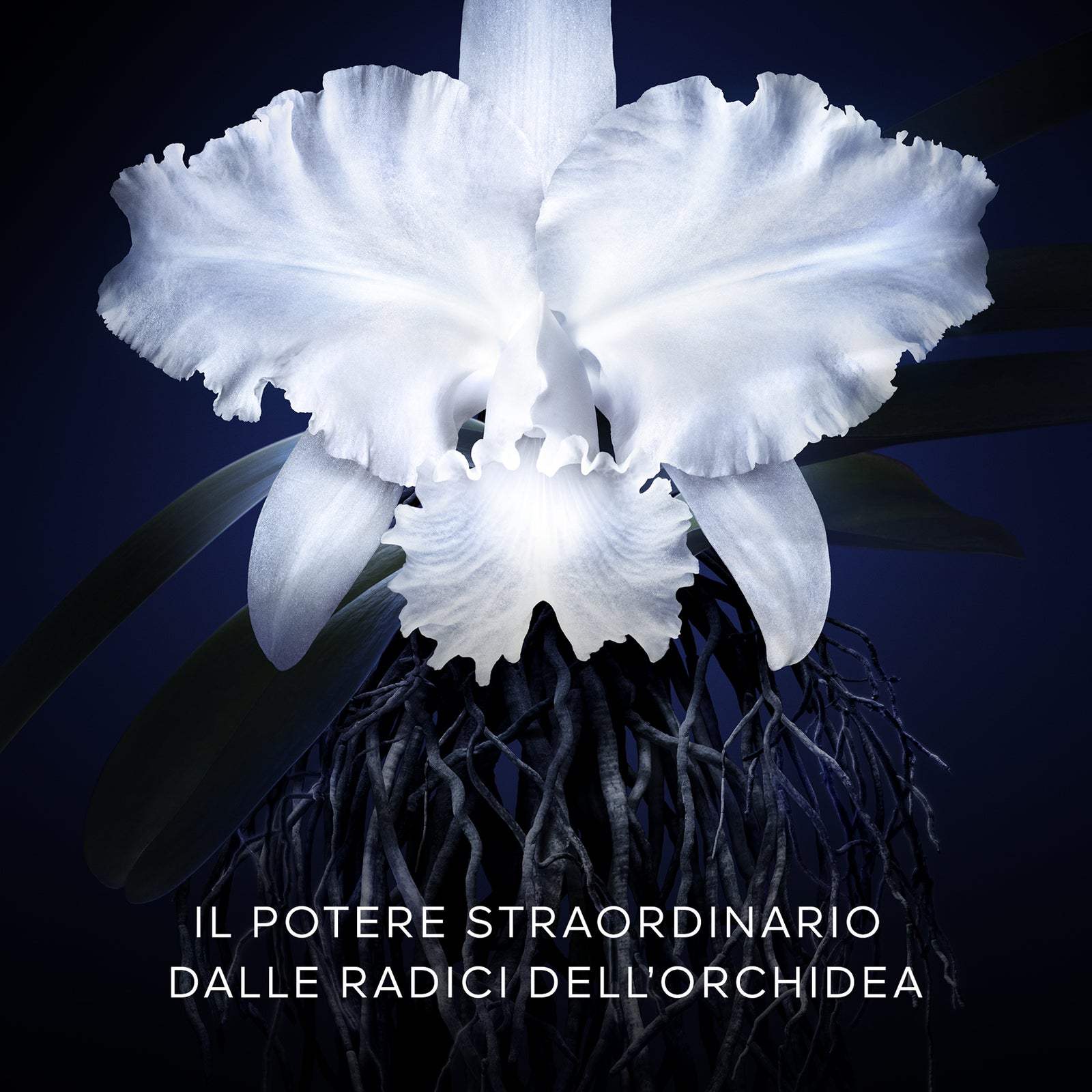 Orchidée Impériale La Creme 5 Generation Legere - Ricarica