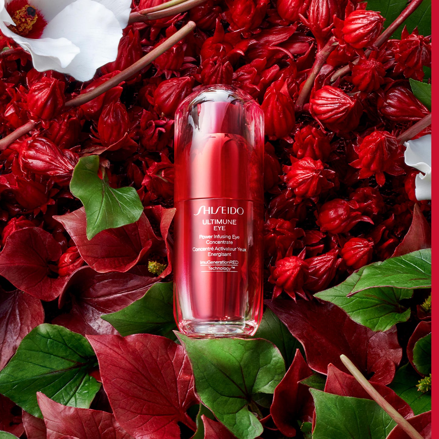 Ultimune Power Infusing Eye Concentrate