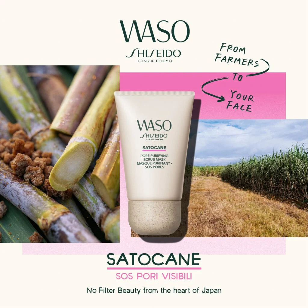 WASO Pore Purifying Scrub Mask