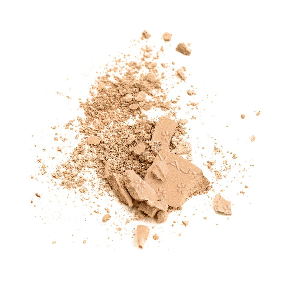 Silk Feel Wet&Dry Powder Foundation